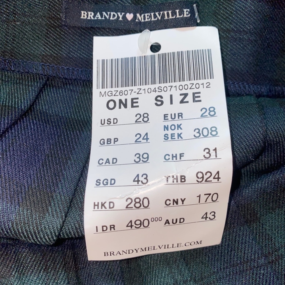 Brandy Melville Dana Pleated mini skirt